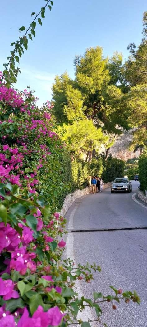 Alianthos Beach Apartment Vári エクステリア 写真